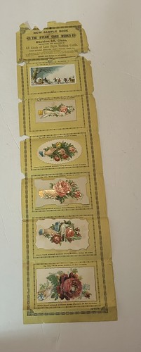 The steam card - steam, venditore