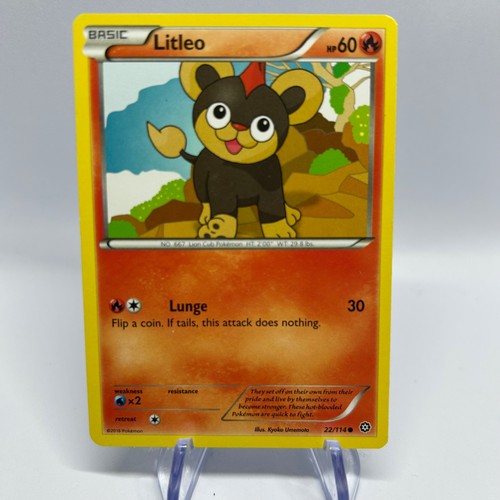 Litleo 114 common steam - litleo,