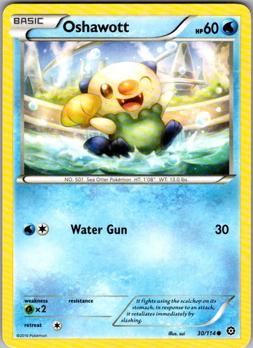 Oshawott 114 common - 30/114, steam