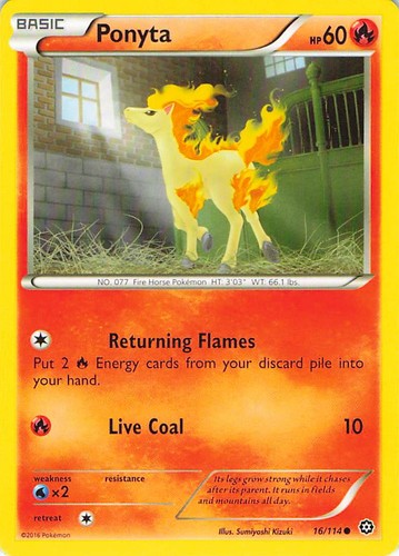 Ponyta 114 common steam - 16/114,