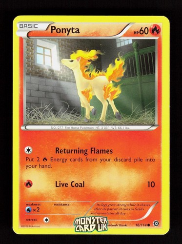 Pokemon ponyta 114 steam - ponyta,