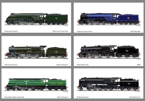 Pack preserved steam - 6,